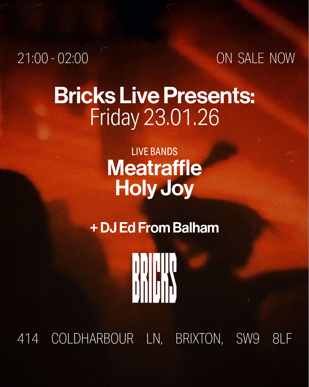 Bricks Live: Meatraffle, Holy Joy, + DJ Ed From Balham