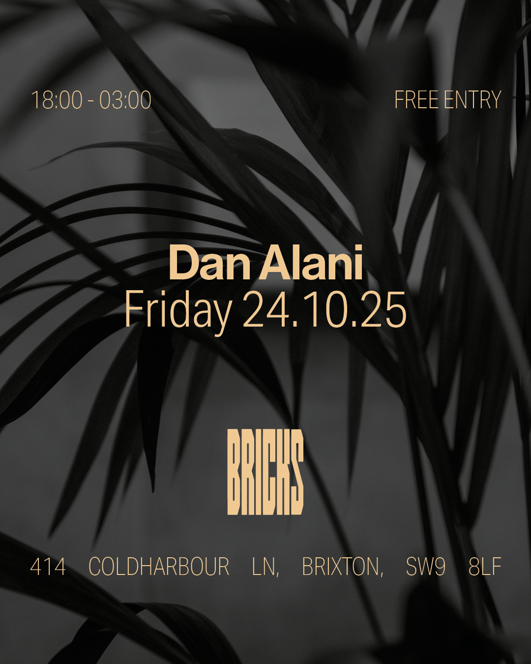Dan Alani